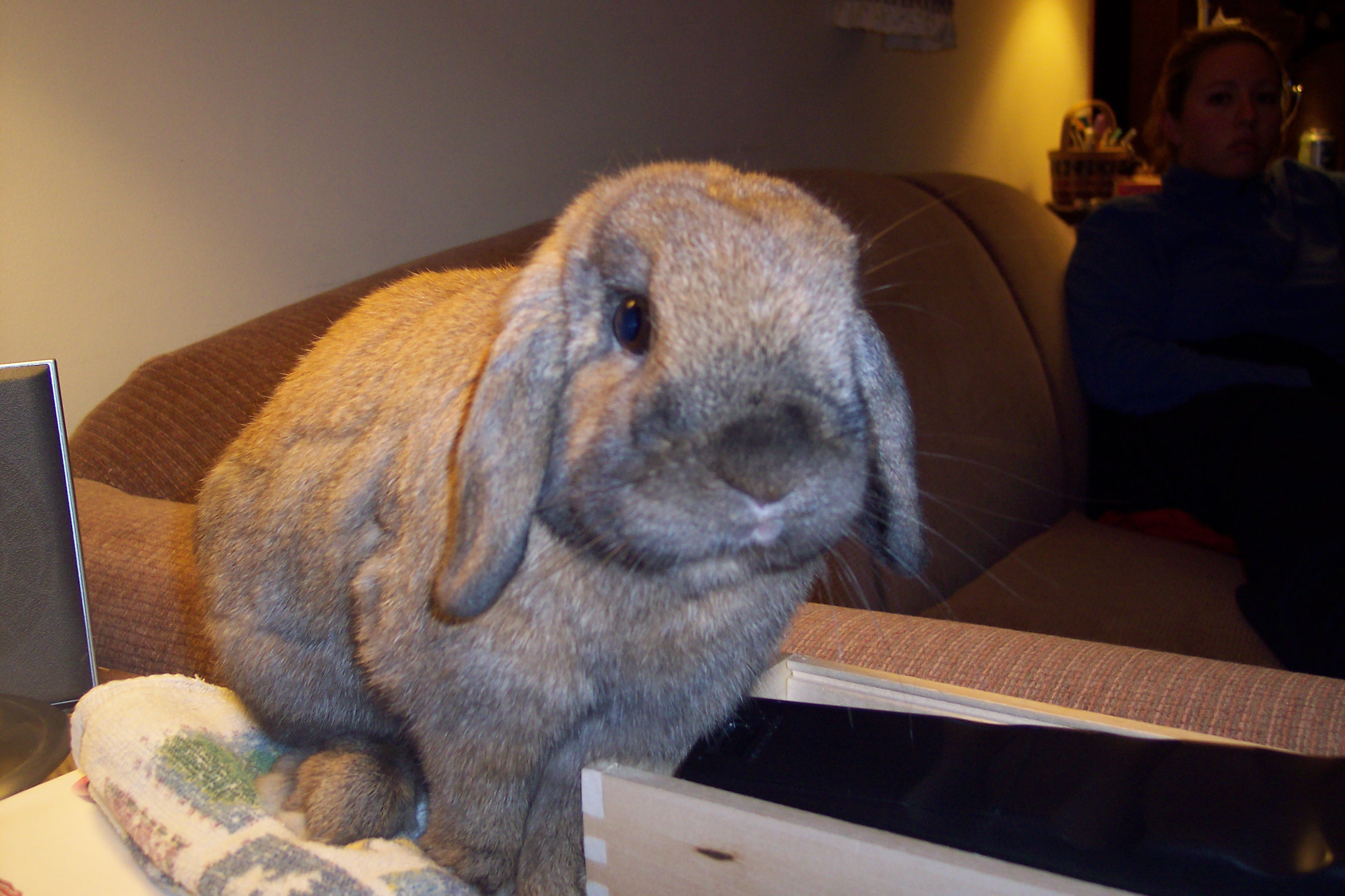 Bunn: 20% more fun than the goldfish.