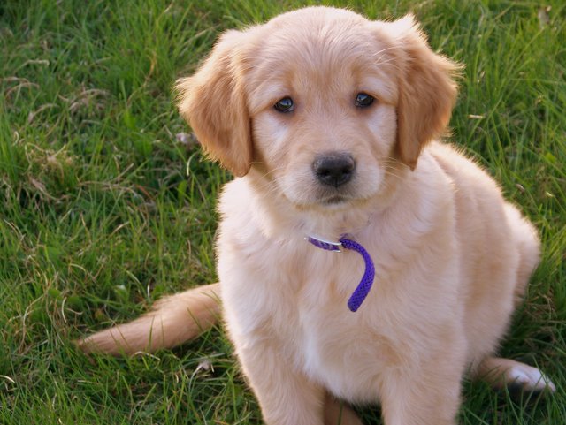 Abby: Day 1